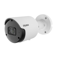 Видеокамера SVI-S123A SD SL RU v2.0